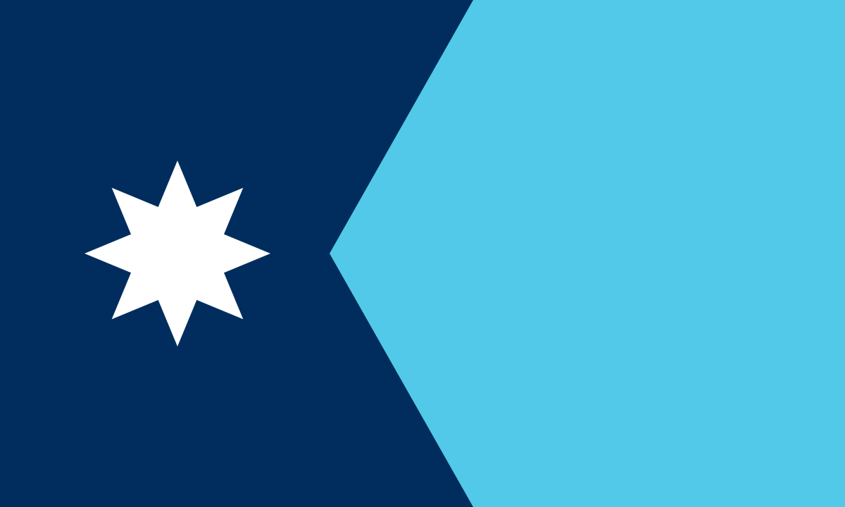 Minnesota state flag